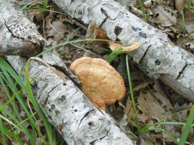 2013_07_26 14 fileminimizer